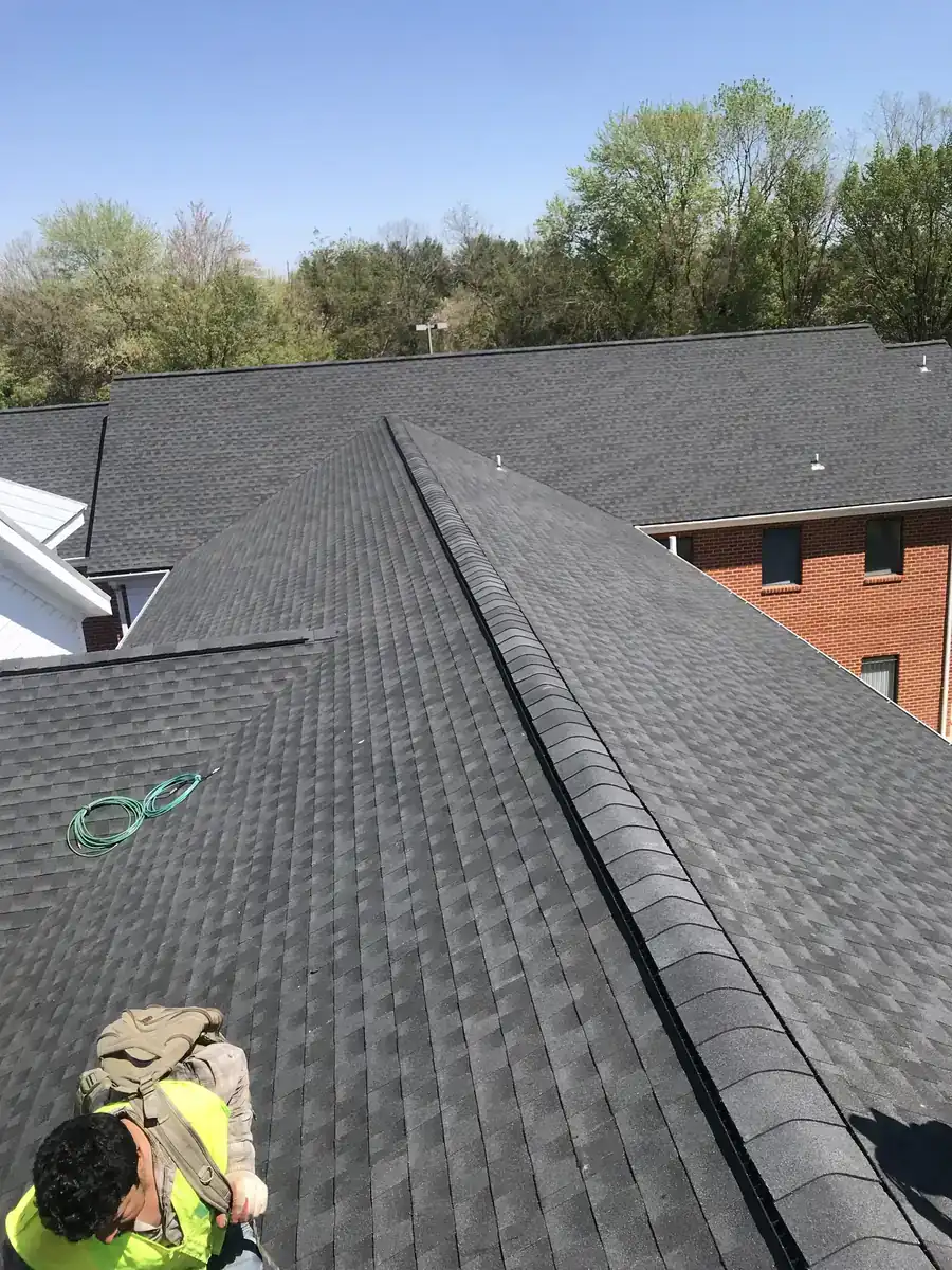 Shingle roof